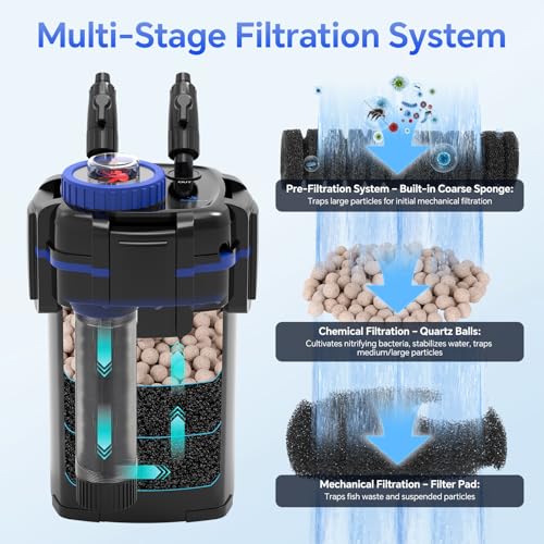 Canister Filter