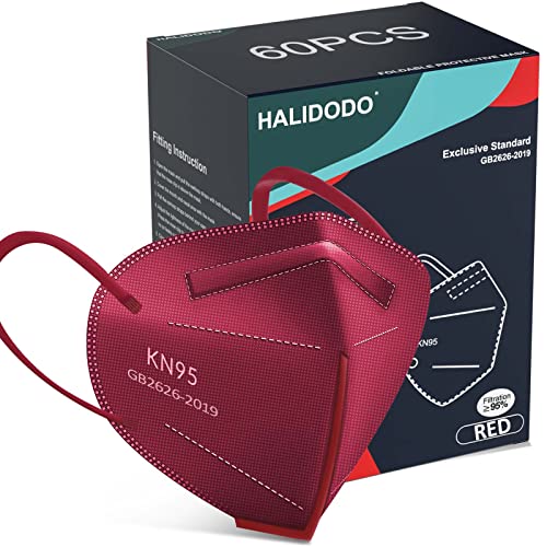 KN95 Face Mask (60 Count)