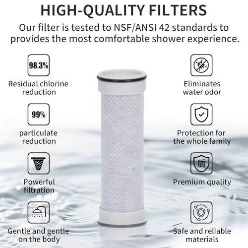 Multi function filter handheld showerhead with built