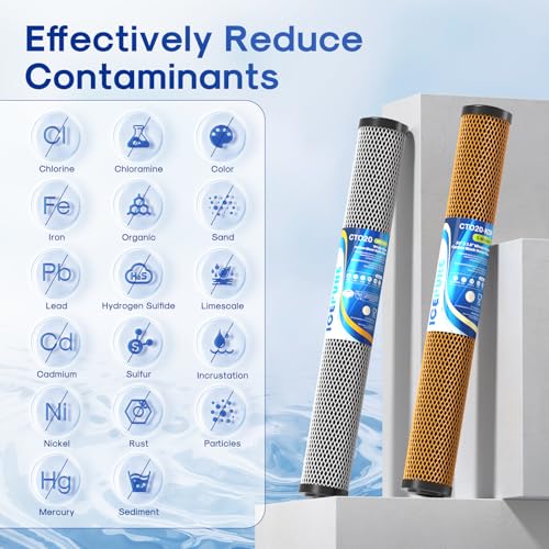 20" x 2.5" Whole House CTO Carbon Water Filter Cartridge (2 Count)