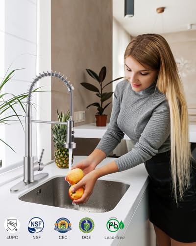 Kitchen Faucets with Pull Down Sprayer