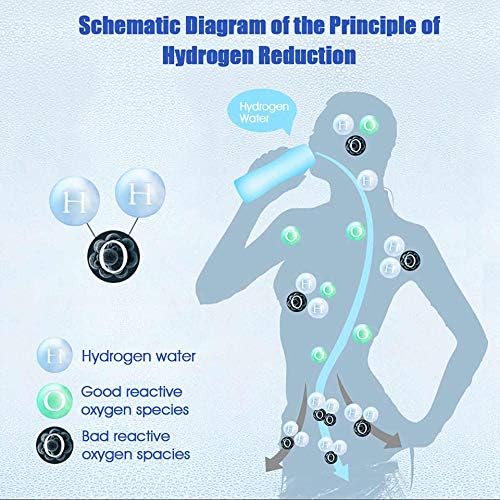 Hydrogen Alkaline Water Bottle Machine Maker Hydrogen Water Generator Ionizer with SPE and PEM Technology,US Membrane Make Hydrogen Content up to 800-1300 PPB