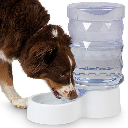 H2O Gravity Pet Water Dispenser