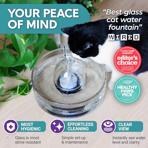 Glass Cat Water Fountain 90oz