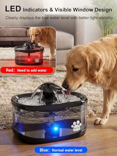9.5L Dog Water Fountain