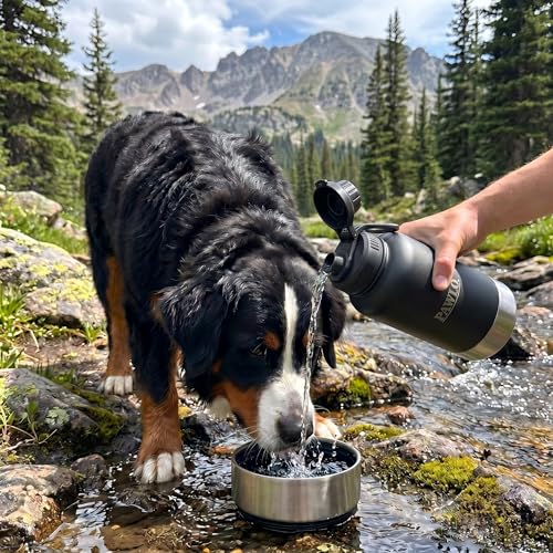 Outdoor Dog Water Bottle with 2 Stainless Steel Bowls