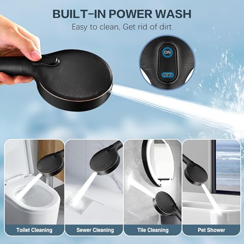 Filtered Shower Head with Handheld