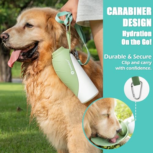 Insulated Dog Water Bottle 27 oz Stainless Steel