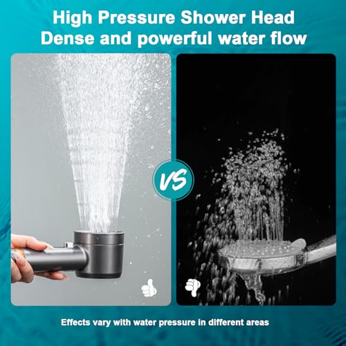Shower Head with Handheld