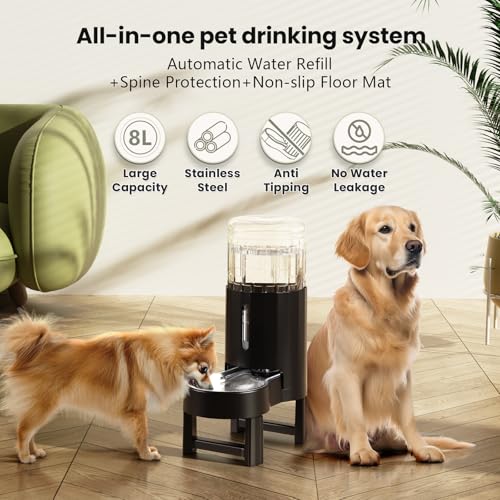 Elevated Dog Water Bowl Dispenser for Large Dogs