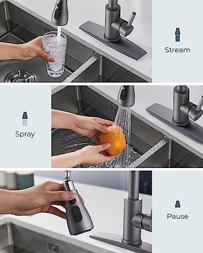 Kitchen Faucets with Pull Down Sprayer