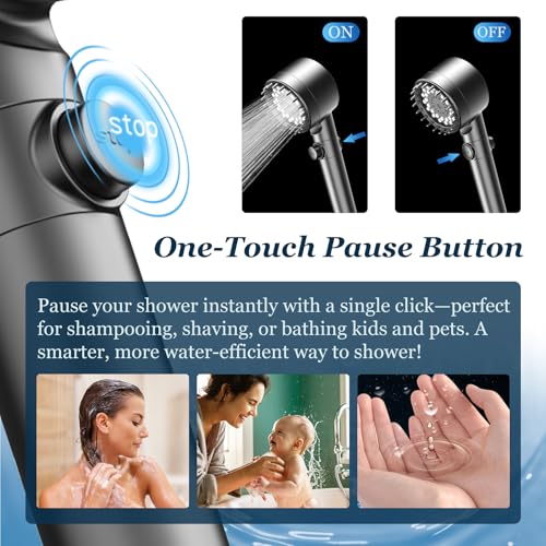 Filtered Shower Head with Handheld