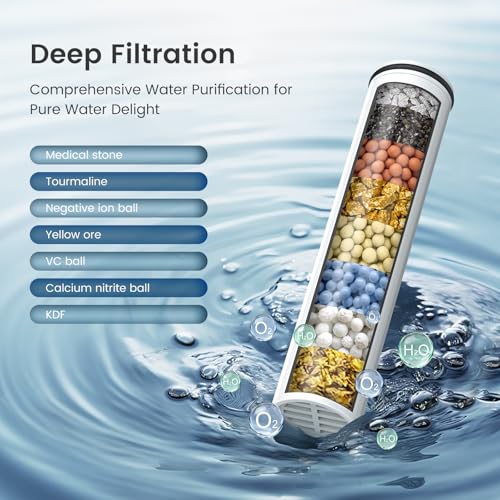 Filtered Shower Head with Handheld