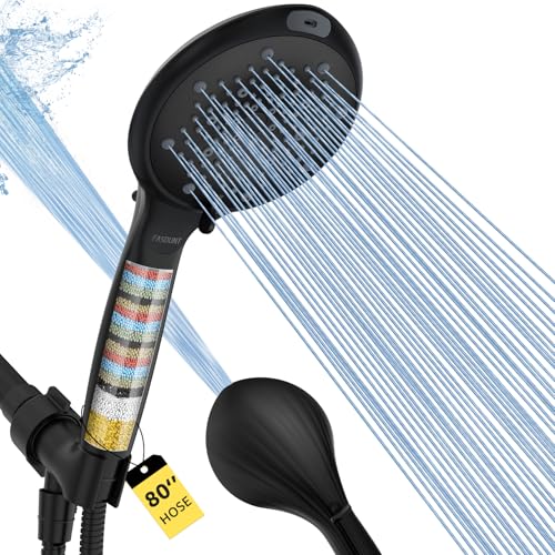 Filtered Shower Head with Handheld