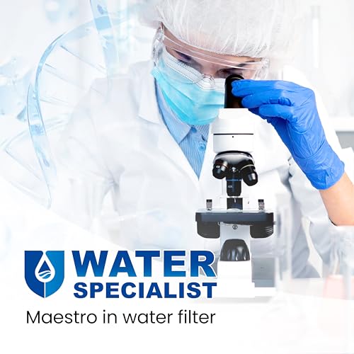 WS613B Water Filter (4 Count)