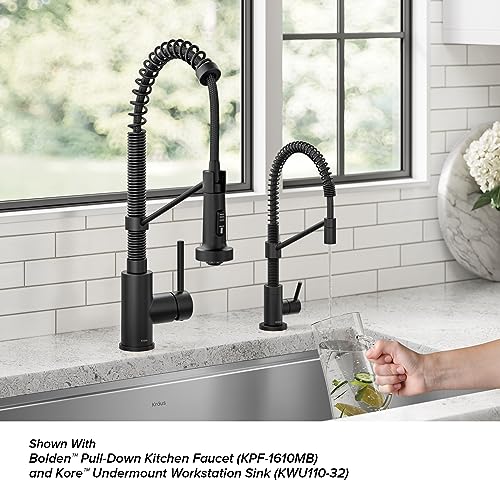Bolden Single Handle Drinking Water Filter Faucet for Reverse Osmosis or Water Filtration System in Matte Black