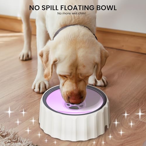 Dog Small Animals Water Bowl No Spill 70oz