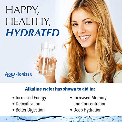 Aqua Ionizer Deluxe 9.0 Aqua