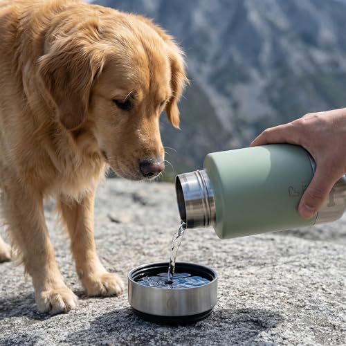 32oz 3-in-1 Dog Water Bottle Stainless Travel Cup with 2 Bowls,Green