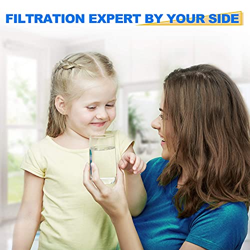PP10 Water Filter (4 Count)