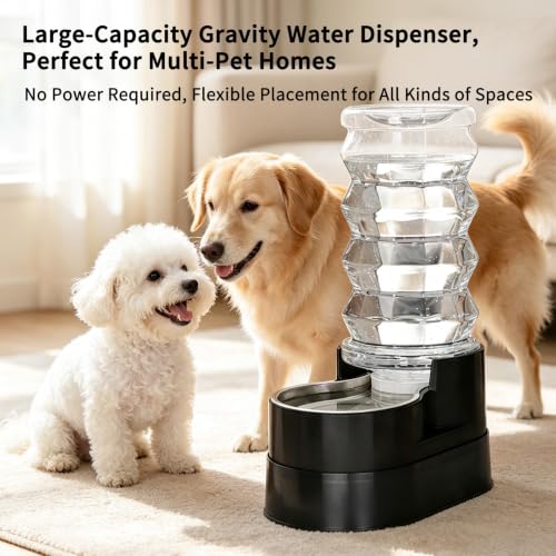 8L Elevated Dog Water Dispenser
