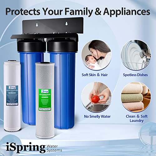 Lead Reducing Whole House Water Filter System