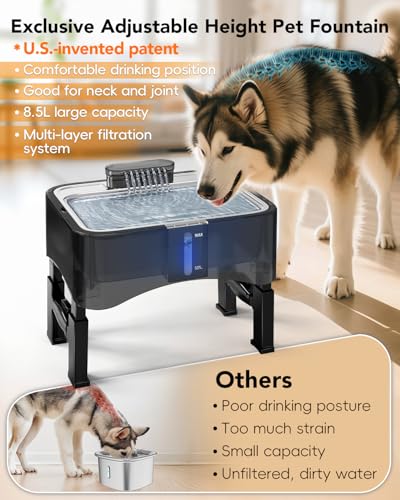 10 Pcs Replacement Filters for 8.5L Elevated Dog Water Fountain