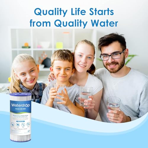 FXHSC Whole House Water Filter for GE® FXHSC (2 Count)