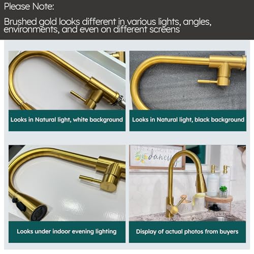Kitchen Faucet and Water Filter Faucet Combo