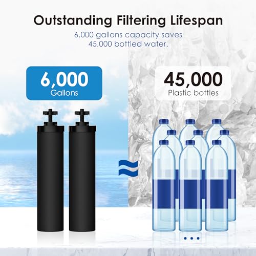 Black Water Filter (2 Count)