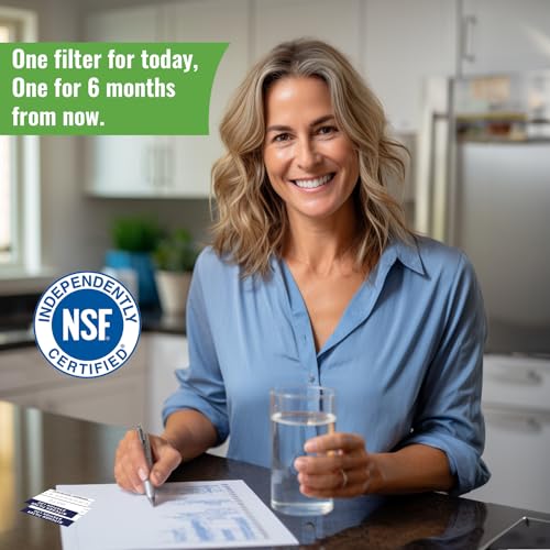 NorthStar OEM Main Faucet Filter 2 (2 Count)