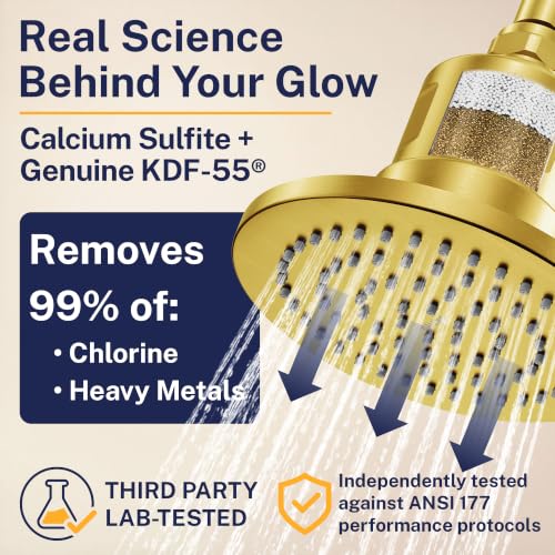 Gillian Filtered Shower Head for Hard Water