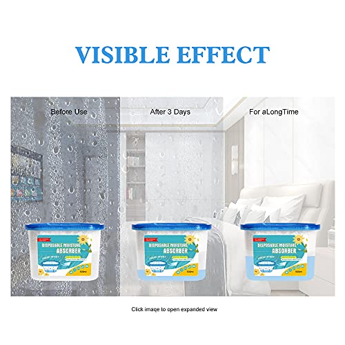 Fresh Scent Moisture Absorber Box