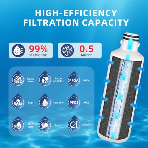 LT1000P ADQ747935 Water Filter 6 (2 Count)