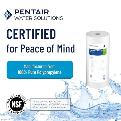 Pentair Pentek DGD