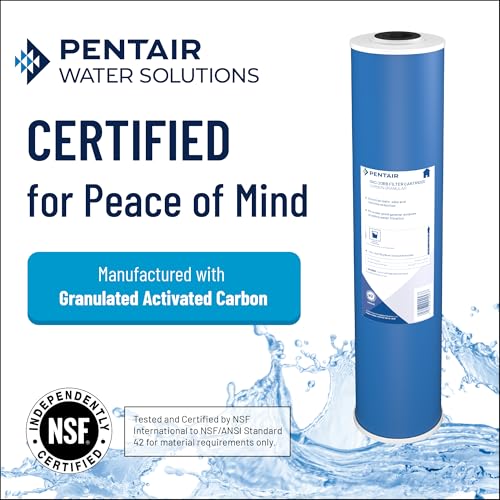 Pentair OMNIFilter GAC1 Carbon Water Filter