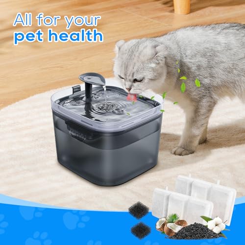 12PCS Cat Water Filter Compatible with Petory Automatic 74oz (12 Count)