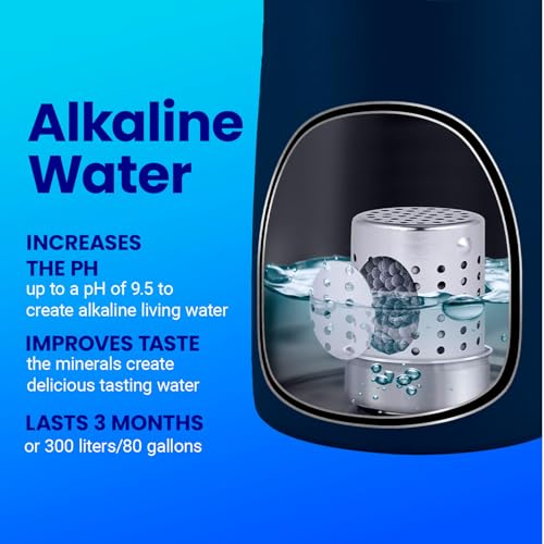 DYLN VitaBead Diffuser Hydrogen Water Generator Replacement 1 Pack