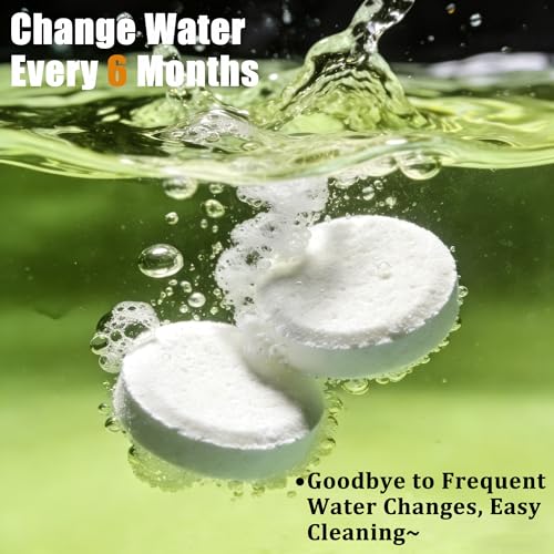 Water Purification Tablets for Rowing Machine Tank Maintenance