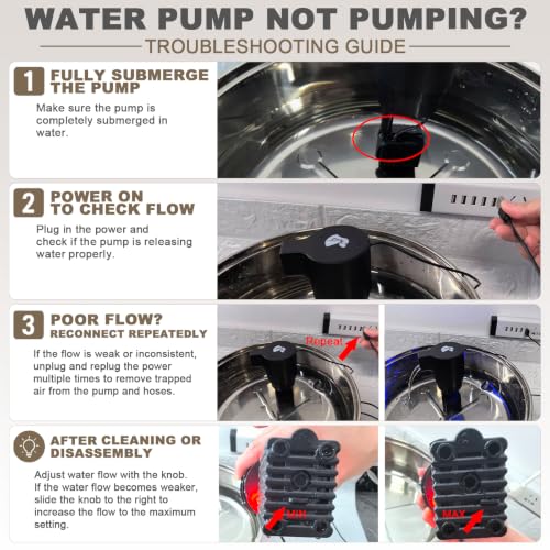 Dog Water Fountain