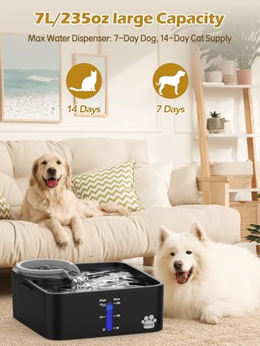 2 Gallon Dog Water Fountain Ultra Large