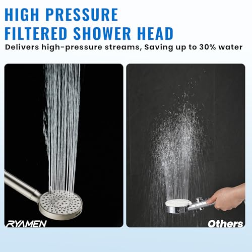 Filtered Shower Head with Handheld