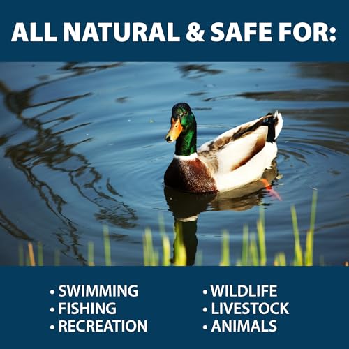 PondClear Packets Beneficial Bacteria Pond Clarifier