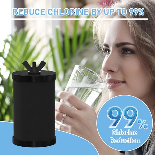 2387 Pro Water Filter Replacement (2 Count)