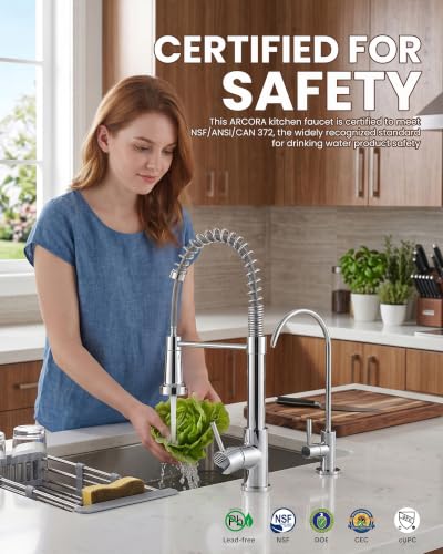 Kitchen Faucet and Water Filter Faucet