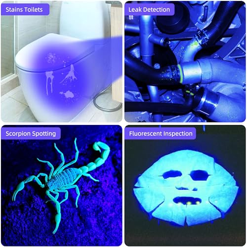 UV Flashlight Filtered 365nm Black Light Woods Lamp Ringworm