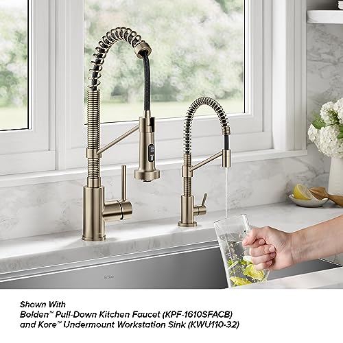 Bolden Single Handle Drinking Water Filter Faucet for Reverse Osmosis or Water Filtration System in Spot