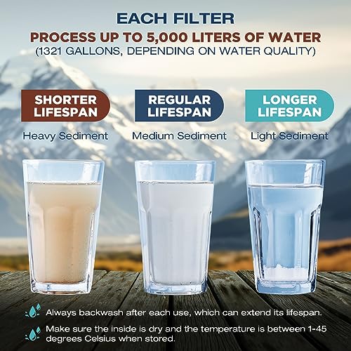 S2 Detachable Water Filter Straw (4 count)
