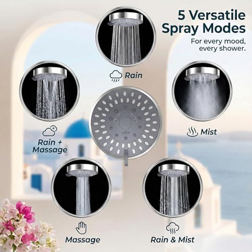 Filtered Shower Head with 2 Filter Cartridges