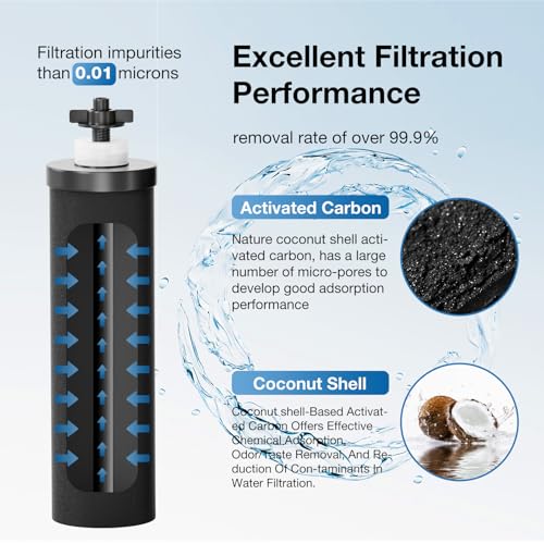 Black Purification Elements (2 Count)